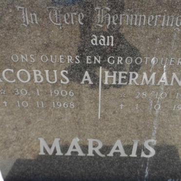 MARAIS Jacobus A. 1906-1968 &amp; Hermanus J. 1907-1984