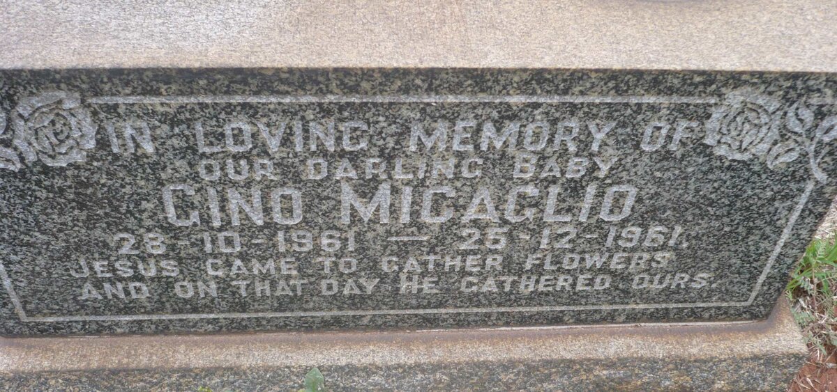 MIGAGLIO Gino 1961-1961