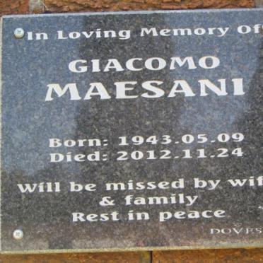 MAESANI Giacomo 1943-2012