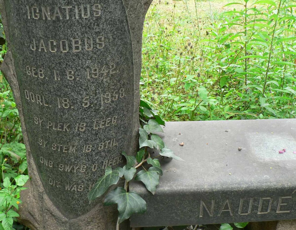 NAUDÉ Ignatius Jacobus 1942-1958