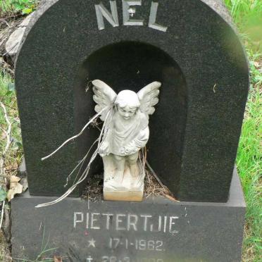 NEL Pietertjie 1962-1963