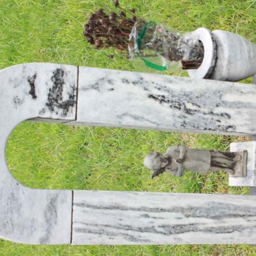 NYSSCHEN Francois Jacobus, de 1956-1956