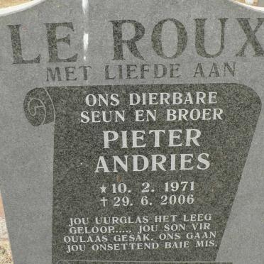 ROUX Pieter Andries, le 1971-2006