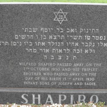 SHAPIRO Wilfred 1930-1930 :: SHAPIRO ? 1930-1930