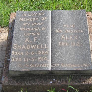 SHADWELL A.F. 1864-1914 :: SHADWELL Alex -1912