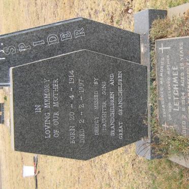 SPIDER Fanny 1914-1997 :: HARRY Lechmee -1964