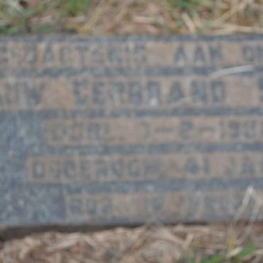 STEYN Dauw Gerbrand -1932