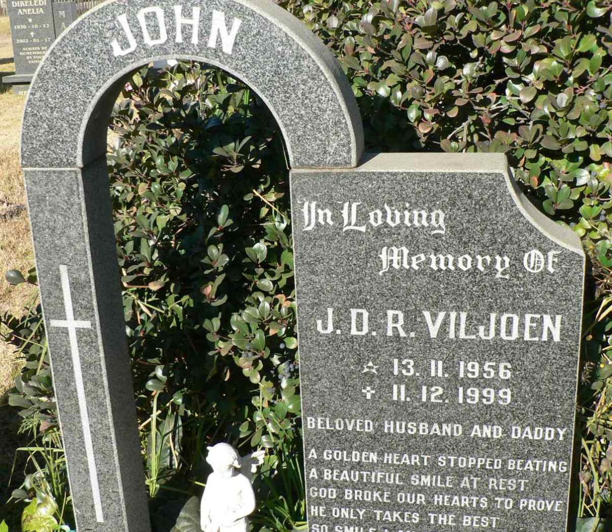 VILJOEN J.D.R. 1956-1999