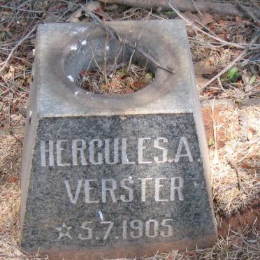 VERSTER Hercules A. 1905-