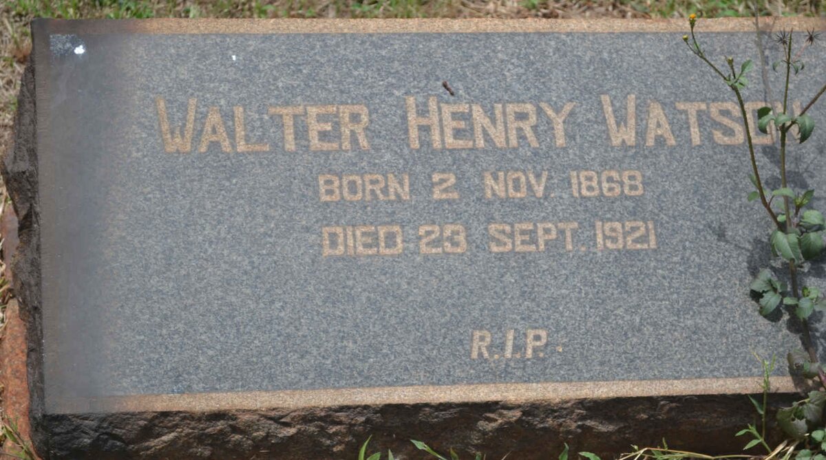 WATSON Walter Henry 1868-1921