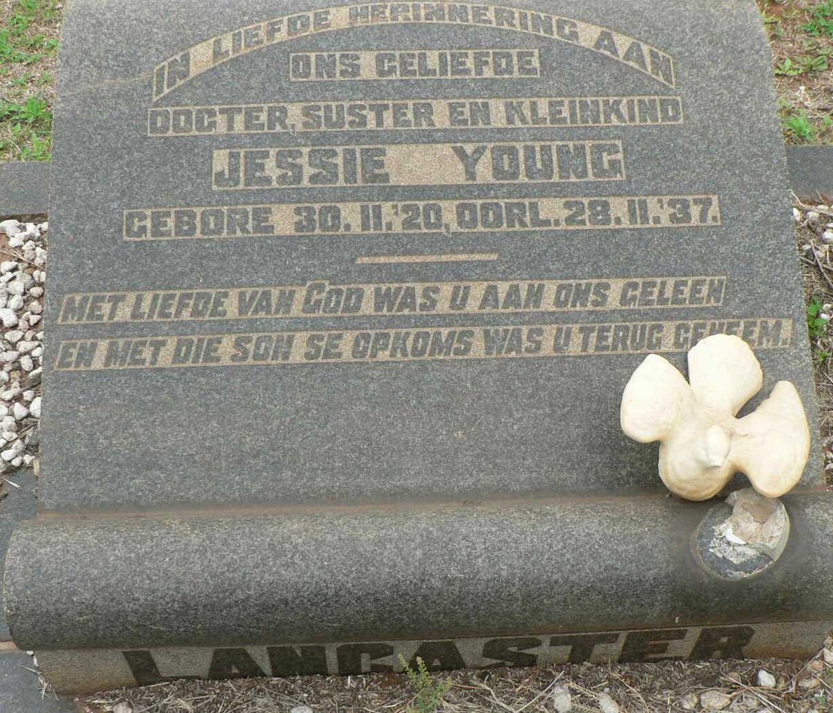 YOUNG Jessie 1920-1937