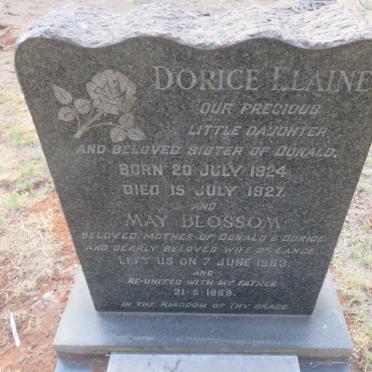 ? Dorice Elaine 1924-1927 :: ? May Blossom -1963