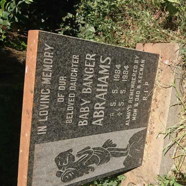 ABRAHAMS Banger 1984-1984