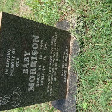 MORRISON Baby 1995-1995