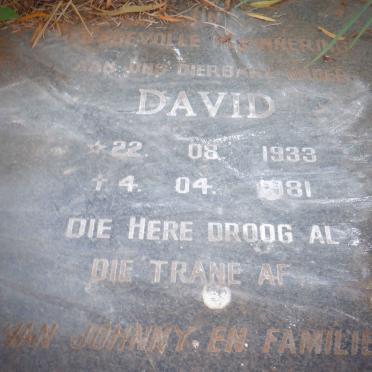 ? David 1933-1981