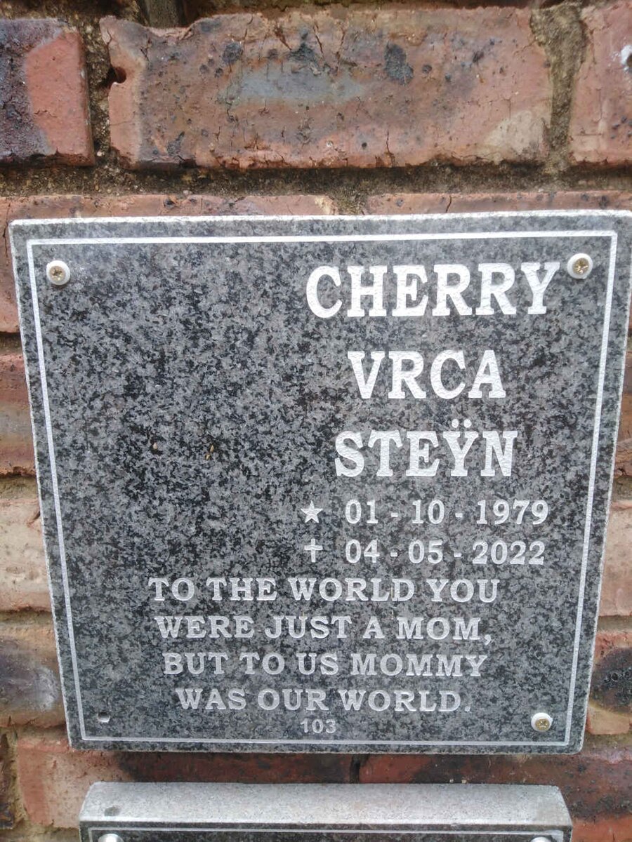 STEYN Cherry Vrca 1979-2022