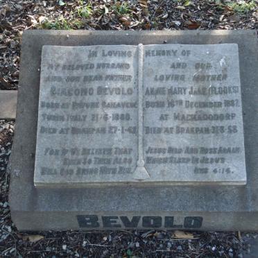 BEVOLO Giacomo 1880-1942 &amp; Annie Mary Jane FLOOKS 1887-1958