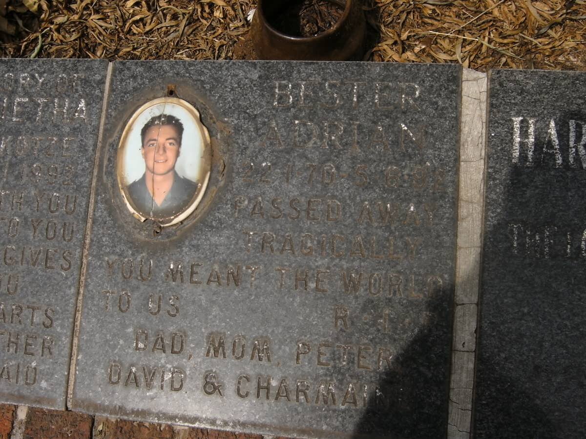 BESTER Adrian 1970-1995