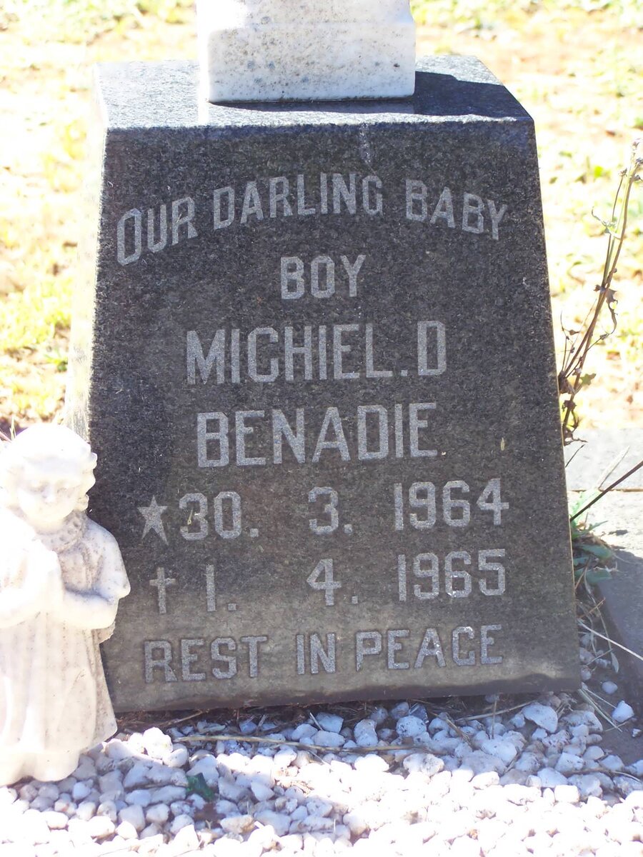 BENADIE Michiel D. 1964-1965