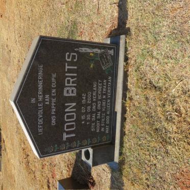 BRITS Toon 1942-2000