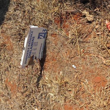 DHLAMINI Duduzile Patience 1996-2010