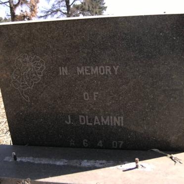 DLAMINI J. 