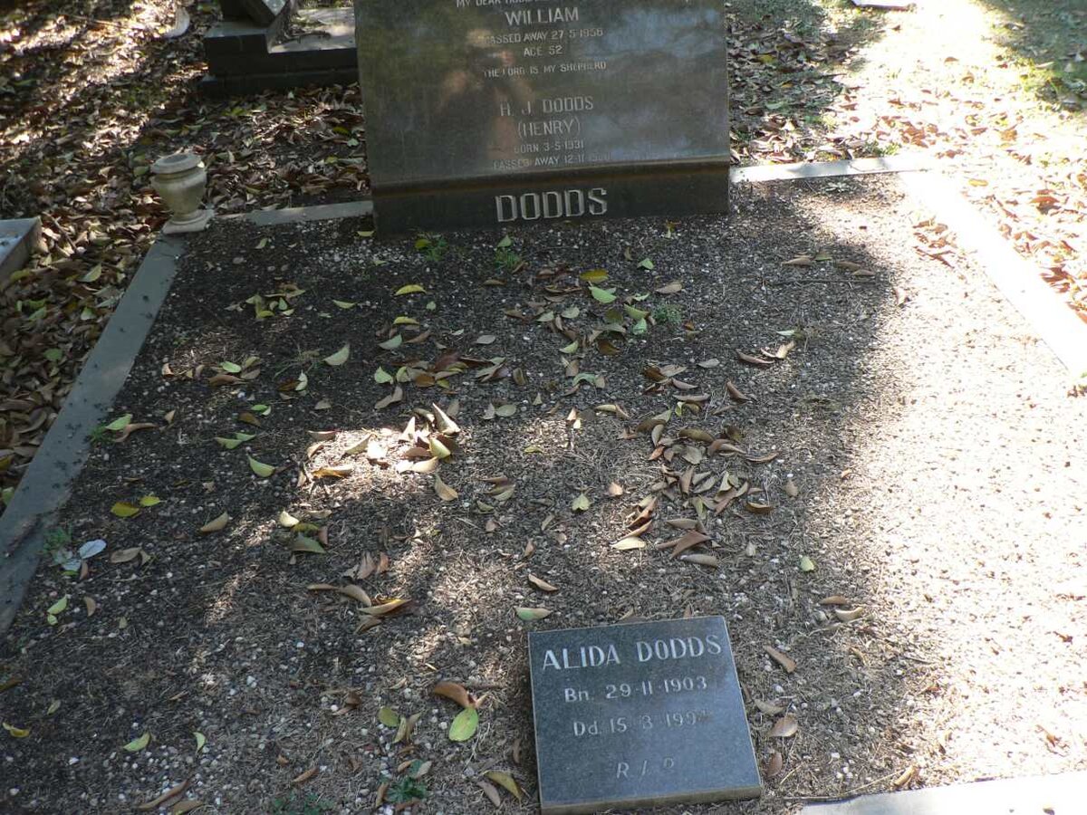 DODDS William :: DODDS H.J. :: DODDS Alida 1903-