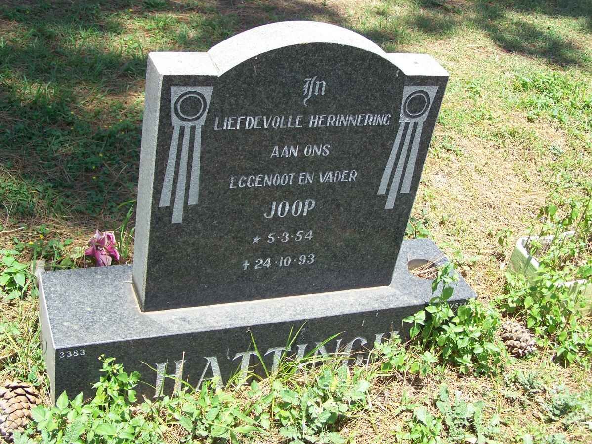 HATTINGH Joop 1954-1993