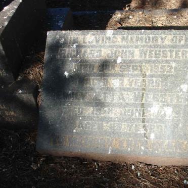 JONES William Edmund 1939-1945 :: WEBSTER Richard John -1952 &amp; Emily ?tta :: JONES William -1947 :: JONES Olive -1947