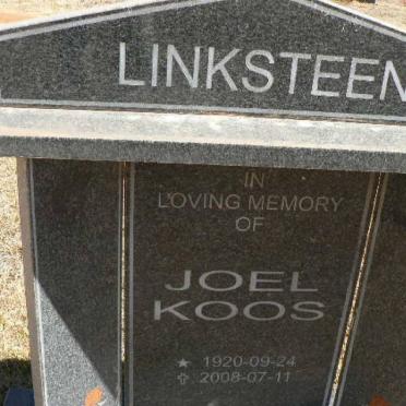 LINKSTEEN Joel Koos 1920-2008