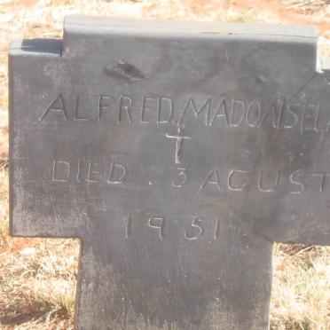 MADONSELA Alfred -1951