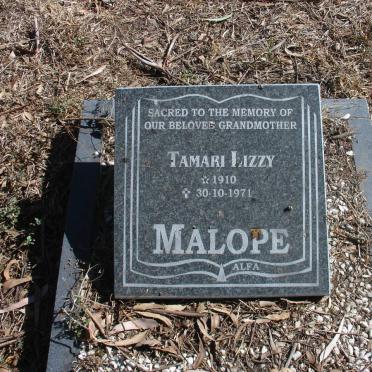 MALOPE Tamari Lizzy 1910-1971