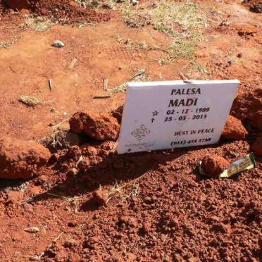 MADI Palesa 1989-2013