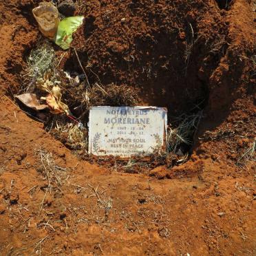 MORERIANE Nota Petrus 1949-2011