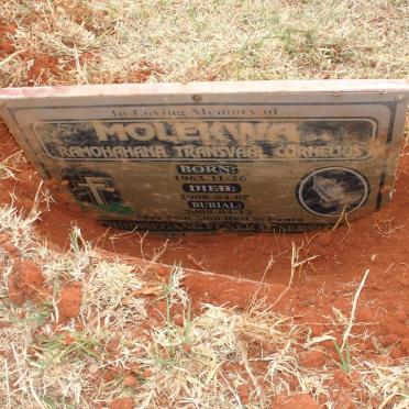 MOLEKWA Ramahahana Transvaal Cornelius 1963-2008