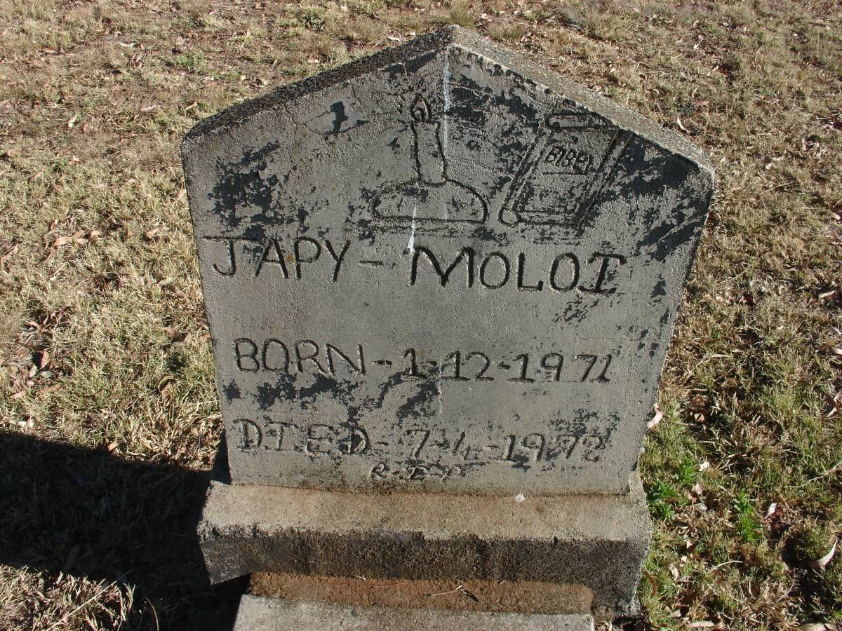 MOLOI Japy 1971-1972