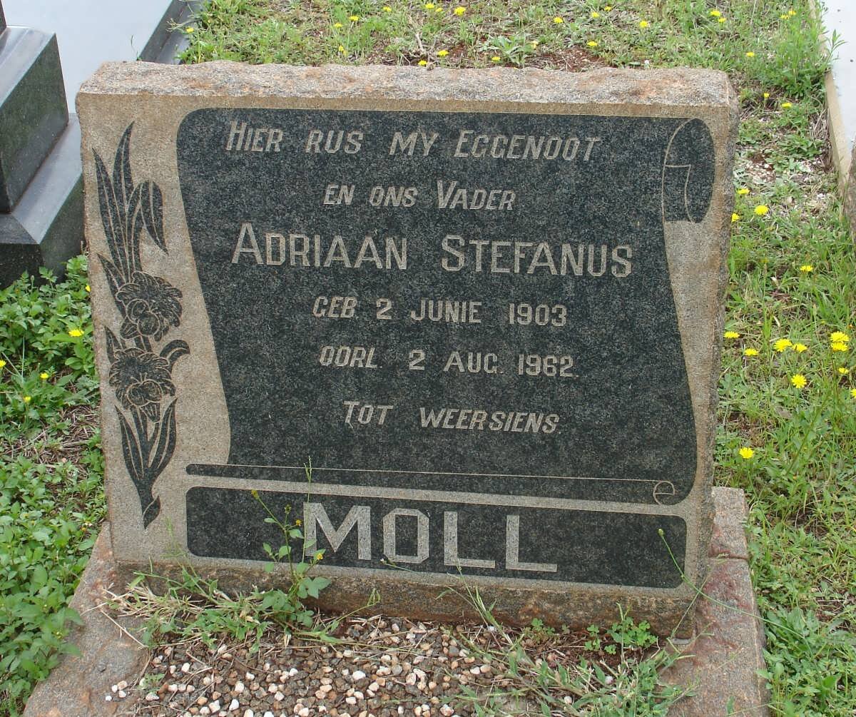 MOLL Adriaan Stefanus 1903-1962