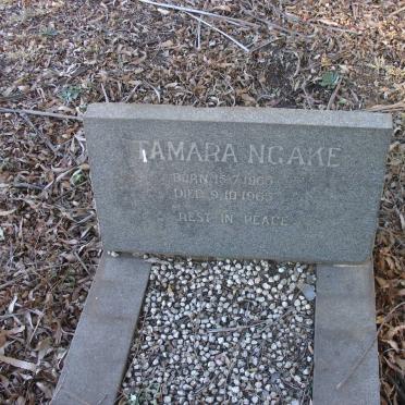 NGAKE Tamara 1965-1965