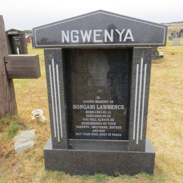 NGWENYA Bongani Lawrence 1983-2003