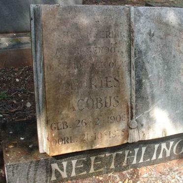 NEETHLING Andries Jacobus 1906-1978