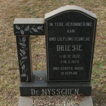 NYSSCHEN Driesie, de 1972-1973
