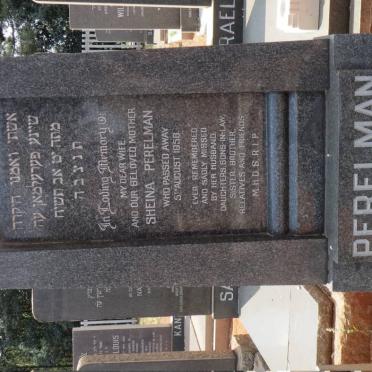 PERELMAN Sheina -1958