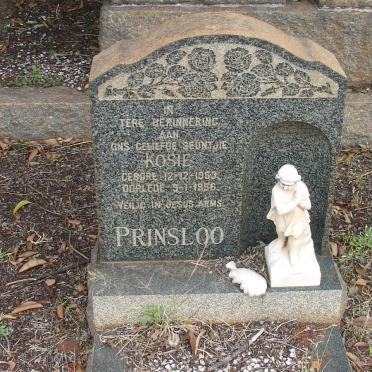 PRINSLOO Kosie 1953-1956