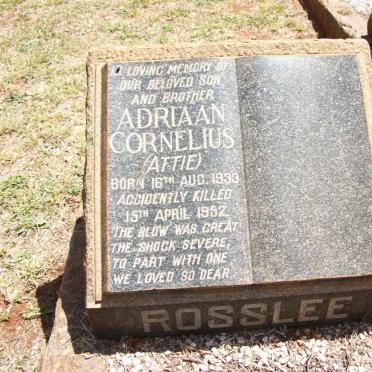 ROSSLEE Adriaan Cornelius -1952