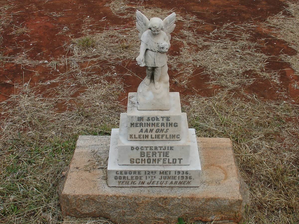 SCHONFELDT Bertie 1936-1936