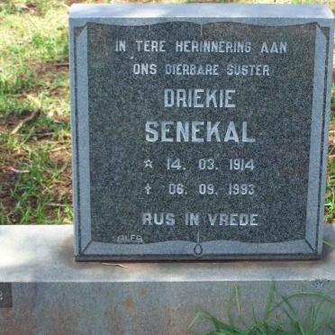 SENEKAL Driekie 1914-1993