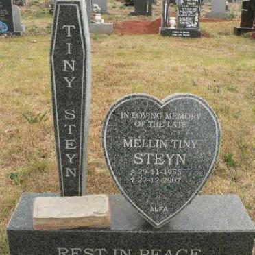STEYN Mellin 1955-2007