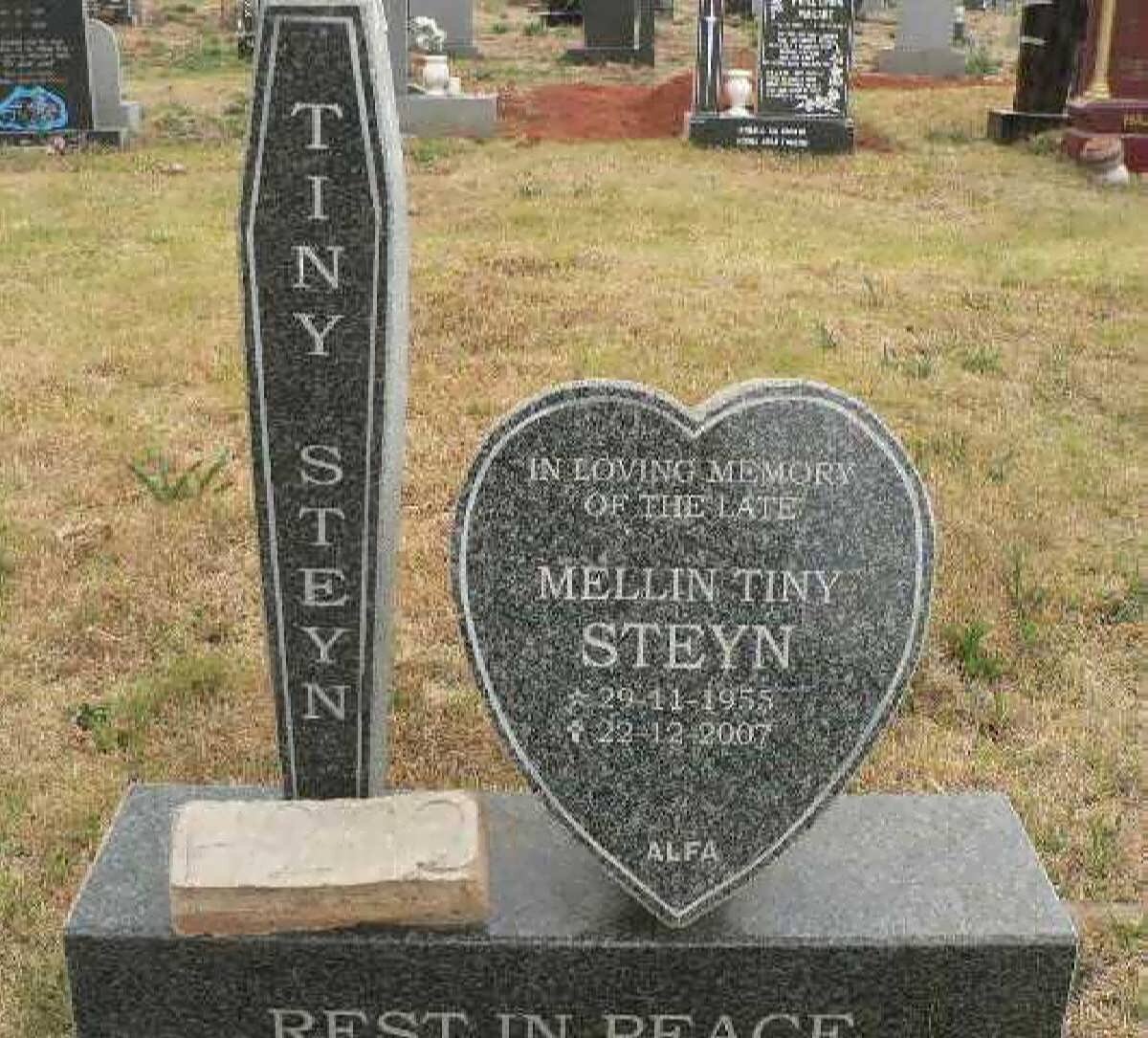 STEYN Mellin 1955-2007