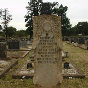 STROEBEL George Hendrik 1867-1947