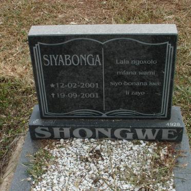 SHONGWE Siyabonga 2001-2001